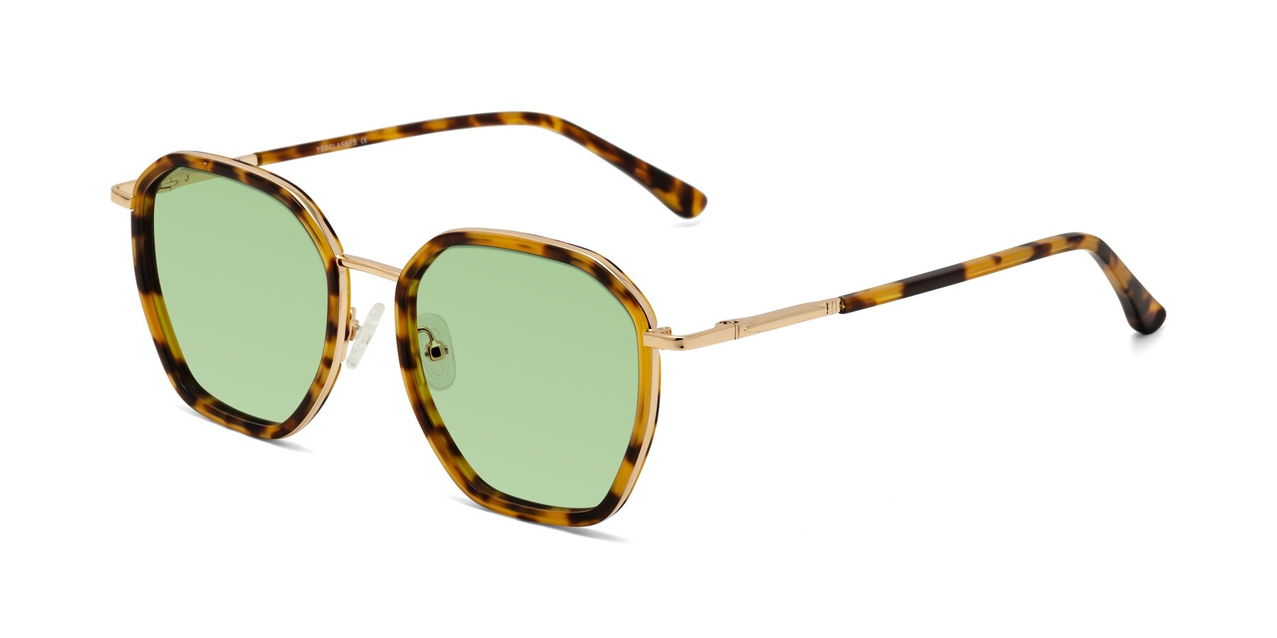 Angle of Fammily in Tortoise-Gold with Medium Green Tinted Lenses