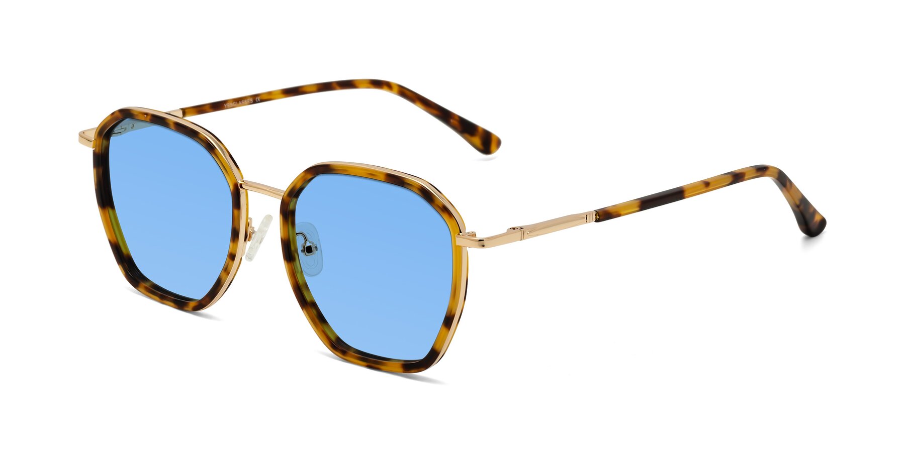 Angle of Fammily in Tortoise-Gold with Medium Blue Tinted Lenses