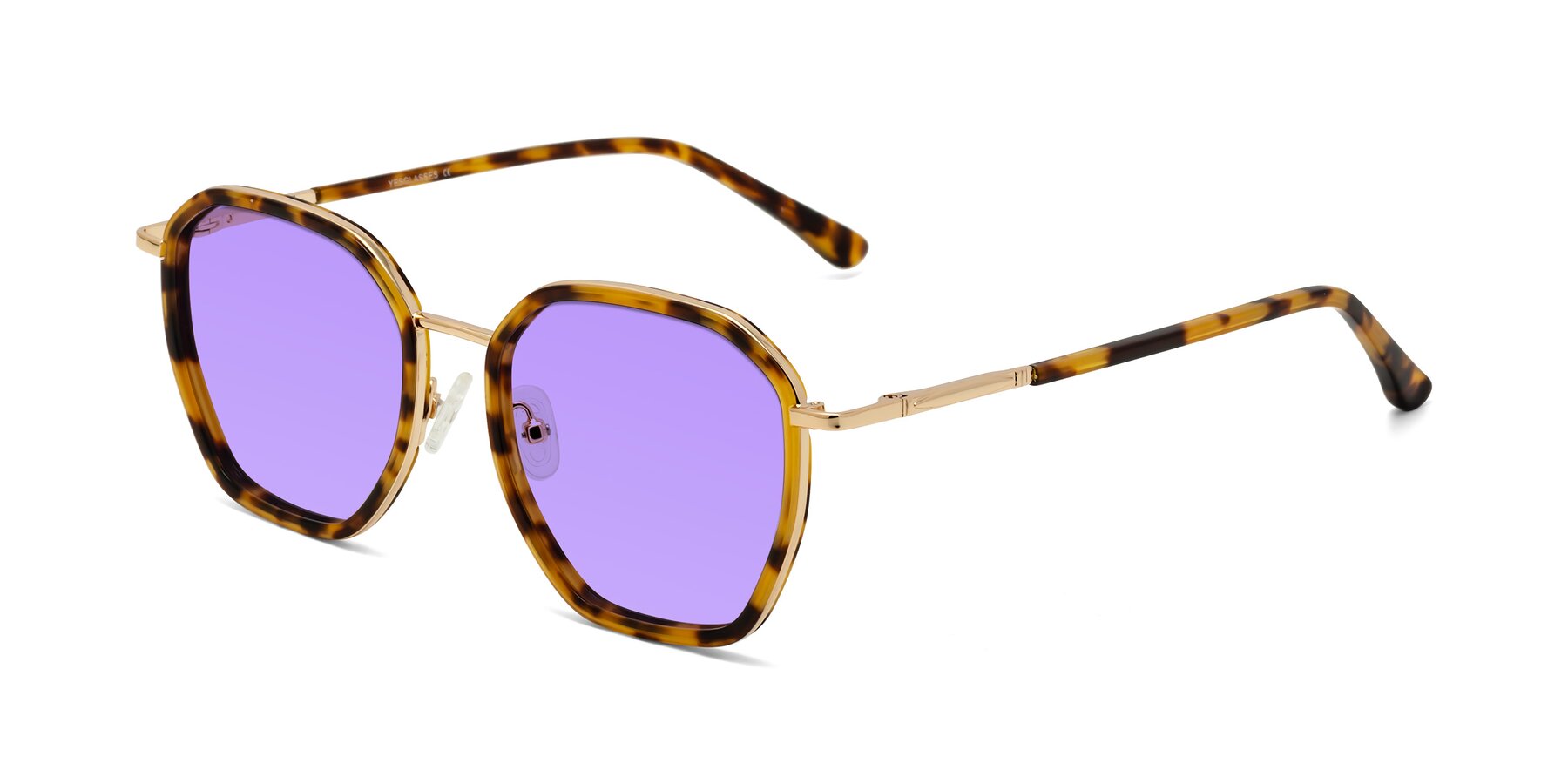 Angle of Fammily in Tortoise-Gold with Medium Purple Tinted Lenses