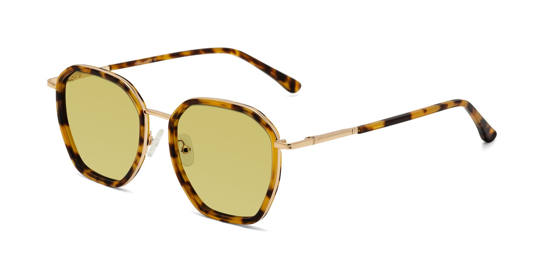 Angle of Fammily in Tortoise-Gold with Medium Champagne Tinted Lenses