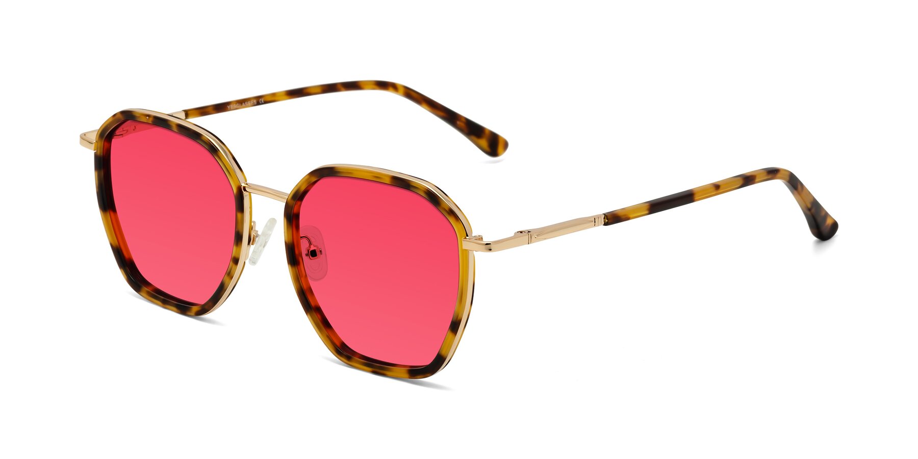 Angle of Fammily in Tortoise-Gold with Red Tinted Lenses