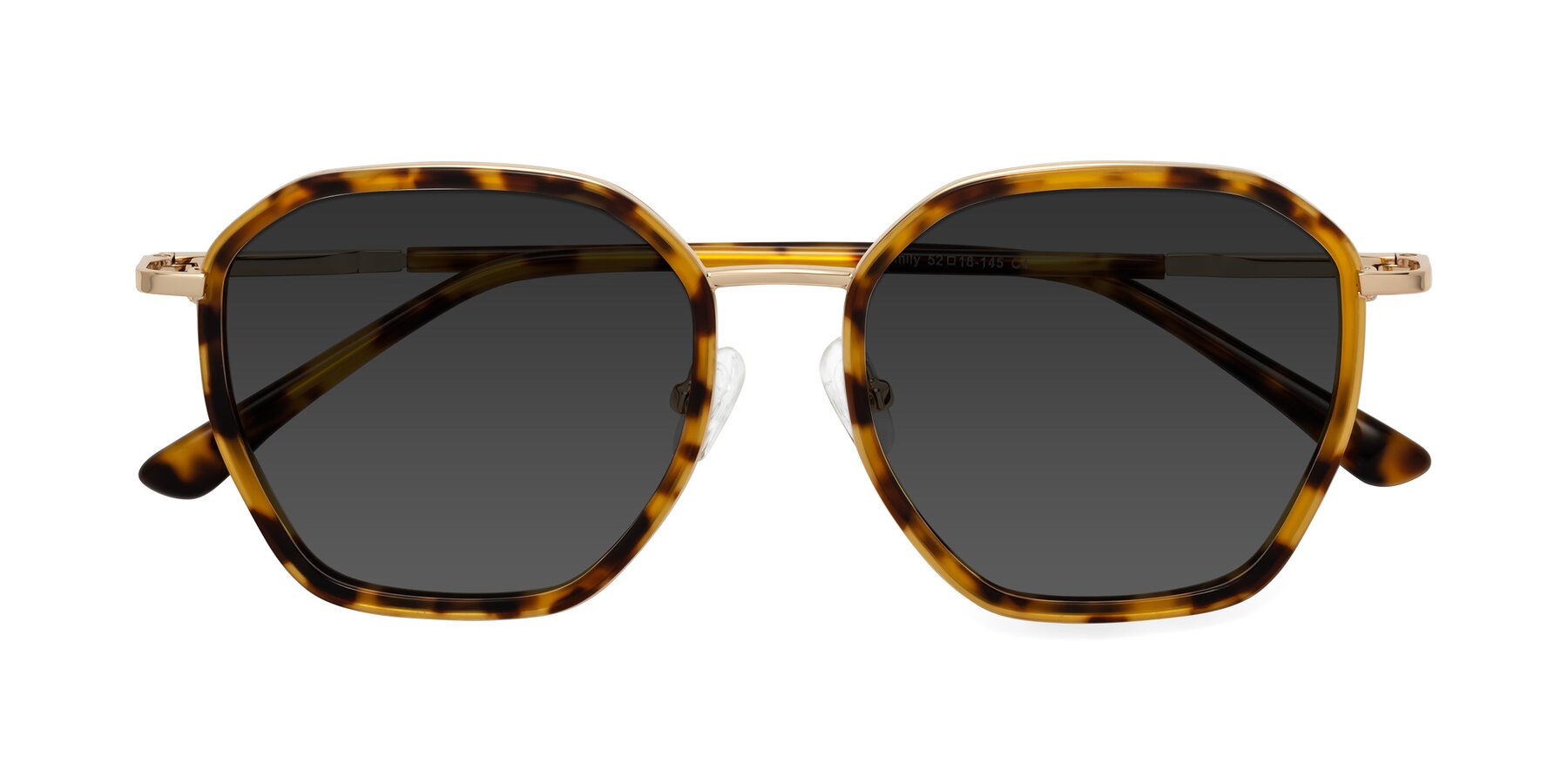 Folded Front of Fammily in Tortoise-Gold with Gray Tinted Lenses