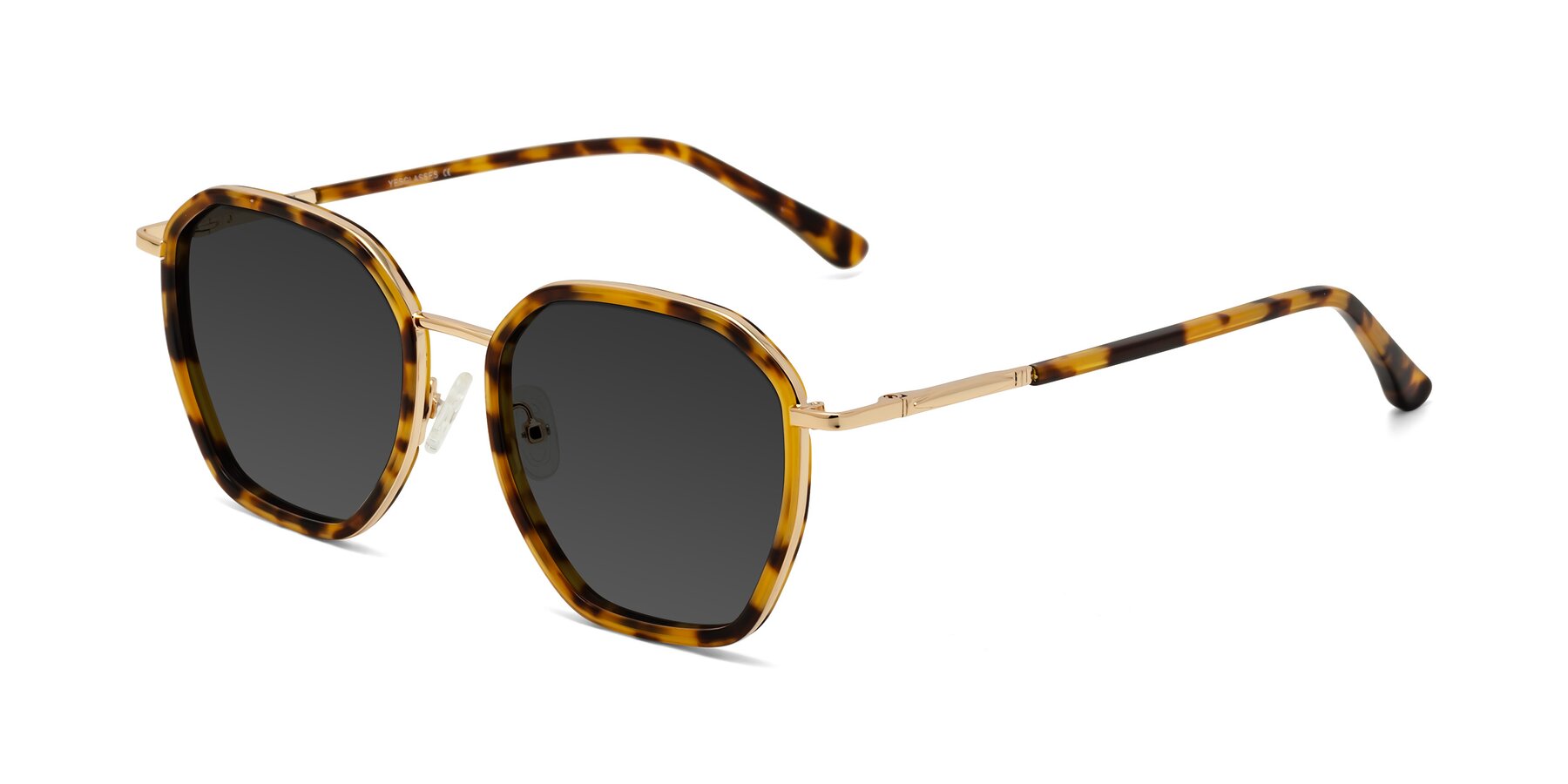 Angle of Fammily in Tortoise-Gold with Gray Tinted Lenses