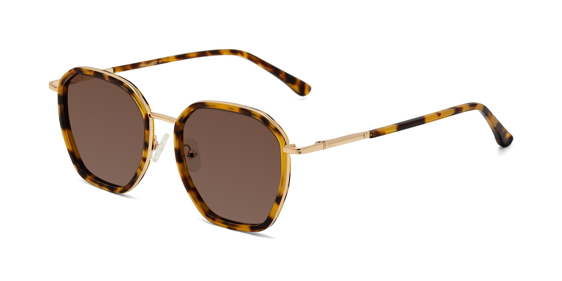 Angle of Fammily in Tortoise-Gold with Brown Tinted Lenses