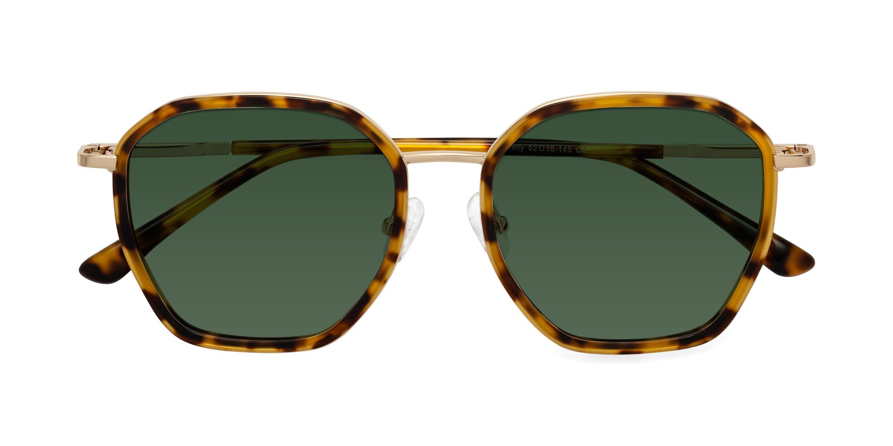 Folded Front of Fammily in Tortoise-Gold with Green Tinted Lenses