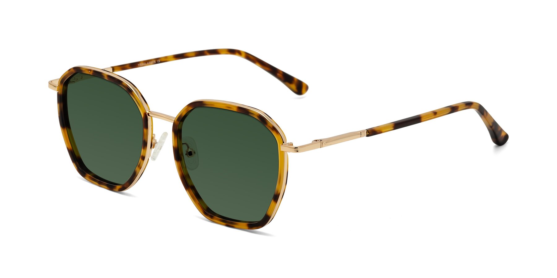 Angle of Fammily in Tortoise-Gold with Green Tinted Lenses