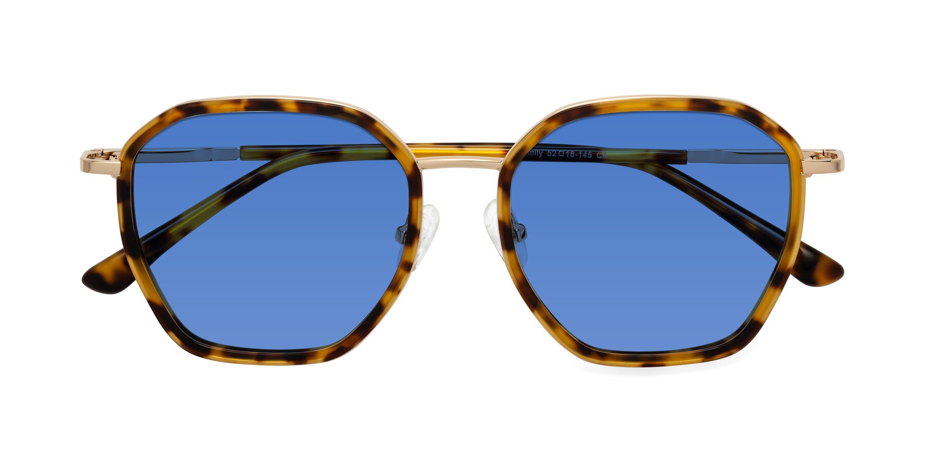 Folded Front of Fammily in Tortoise-Gold with Blue Tinted Lenses