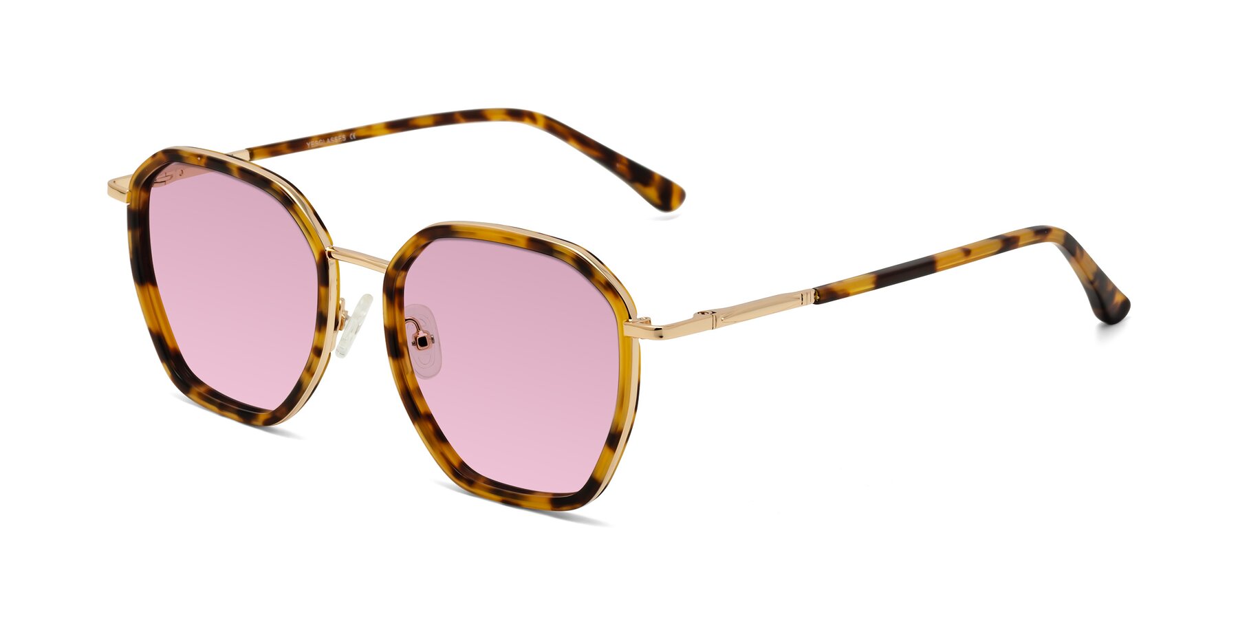 Angle of Fammily in Tortoise-Gold with Light Wine Tinted Lenses