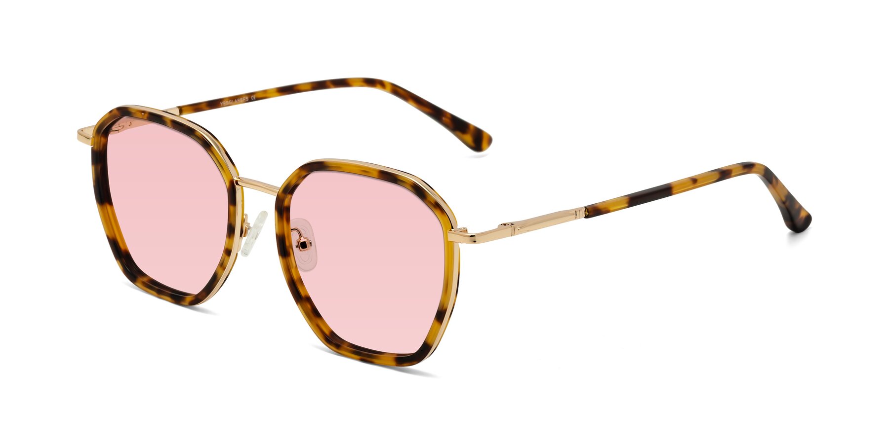 Angle of Fammily in Tortoise-Gold with Light Garnet Tinted Lenses