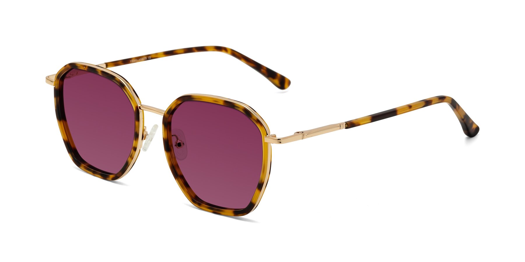 Angle of Fammily in Tortoise-Gold with Wine Tinted Lenses