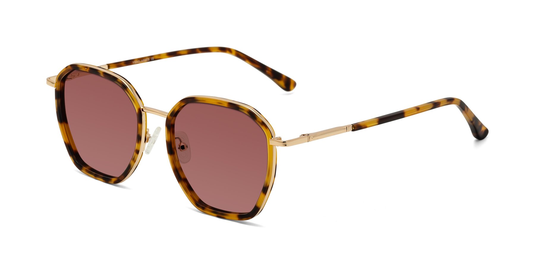 Angle of Fammily in Tortoise-Gold with Garnet Tinted Lenses