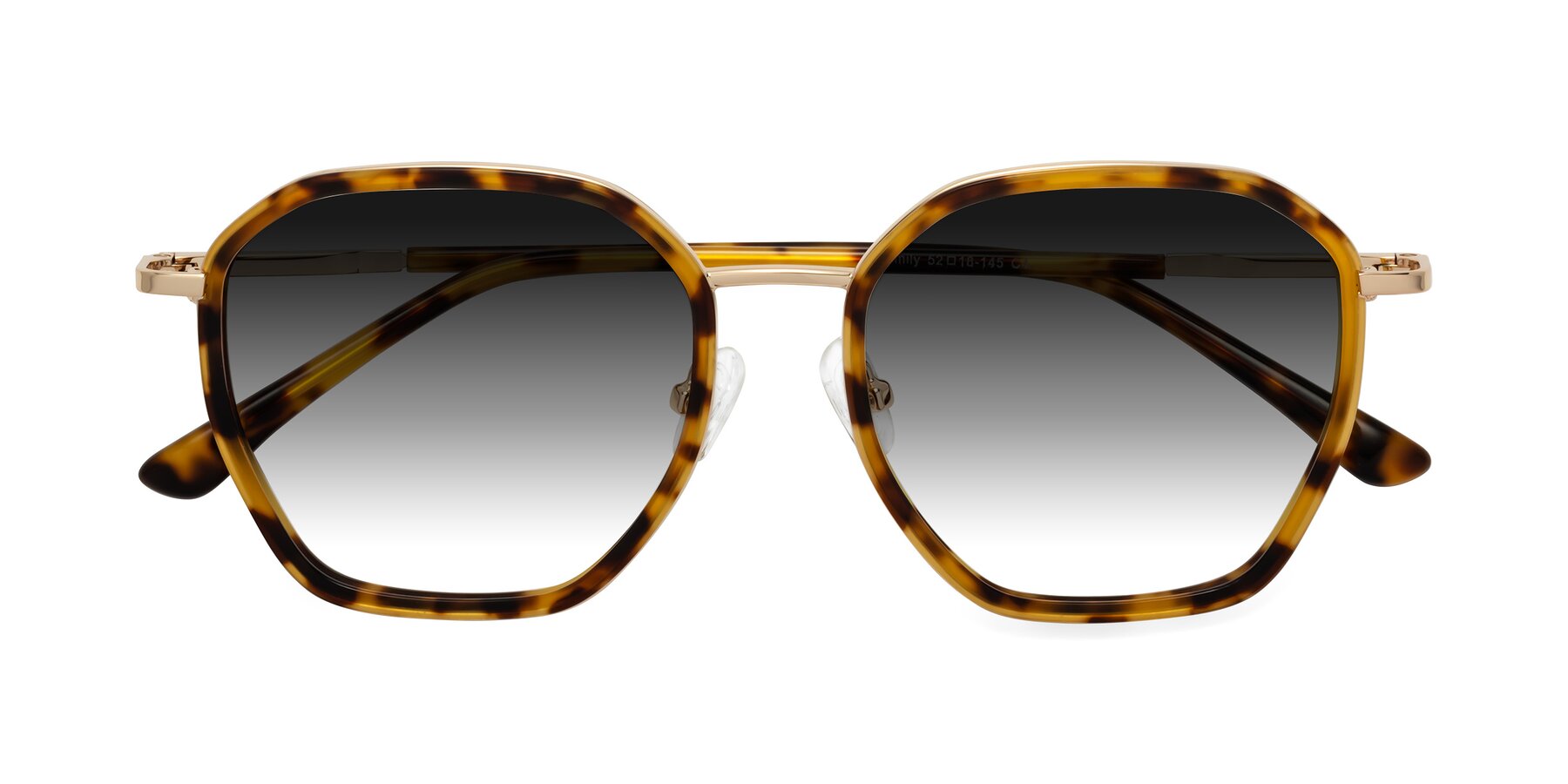 Folded Front of Fammily in Tortoise-Gold with Gray Gradient Lenses