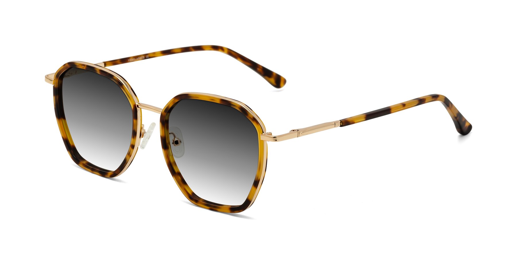 Angle of Fammily in Tortoise-Gold with Gray Gradient Lenses