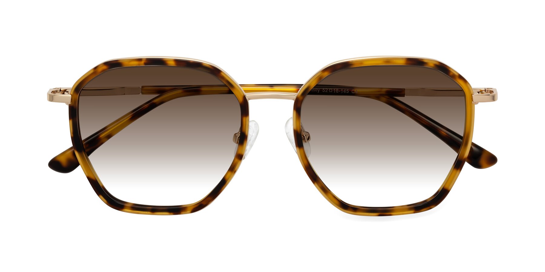 Folded Front of Fammily in Tortoise-Gold with Brown Gradient Lenses