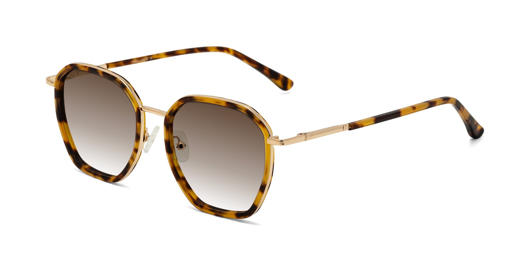 Angle of Fammily in Tortoise-Gold with Brown Gradient Lenses