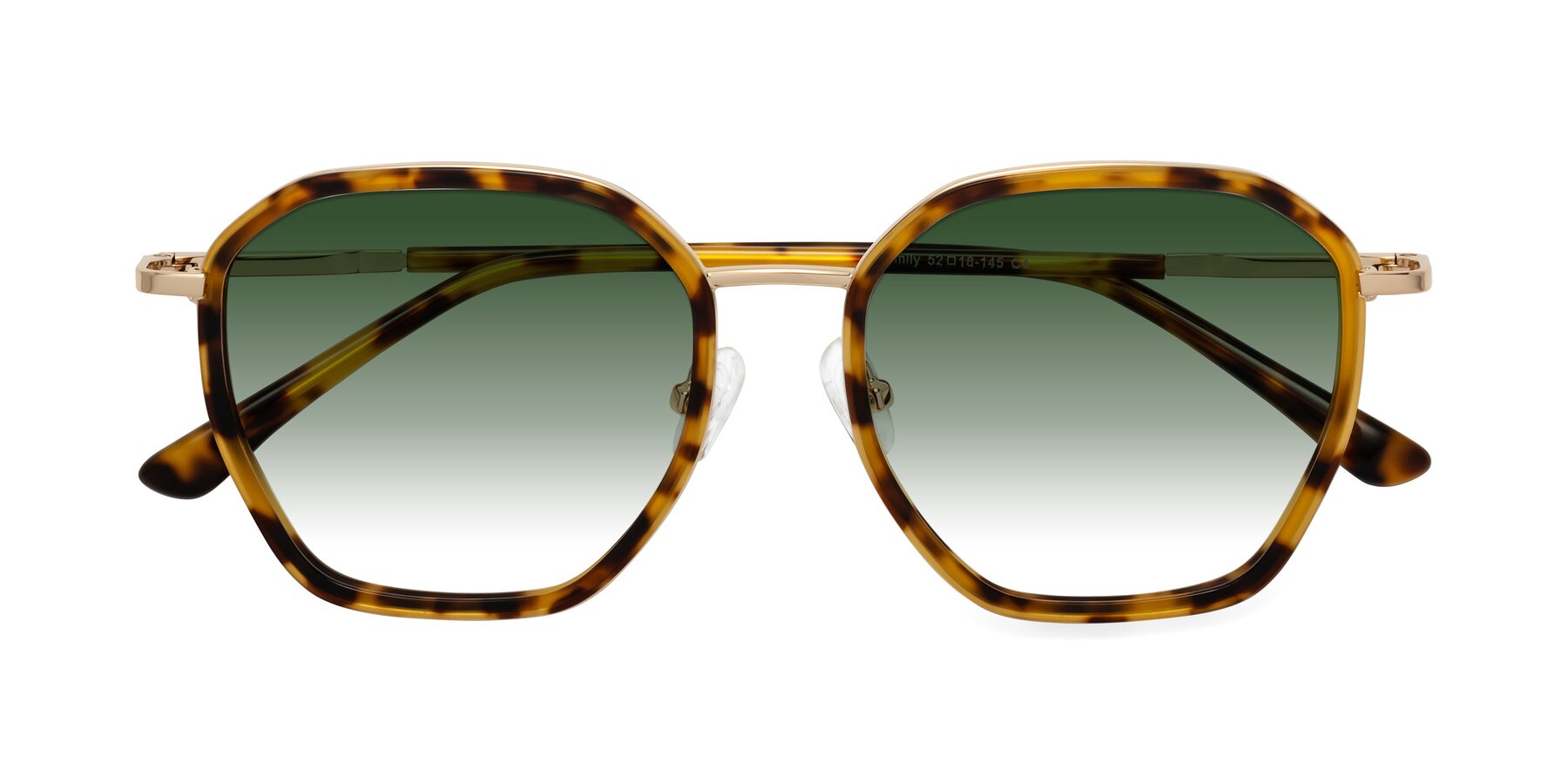 Folded Front of Fammily in Tortoise-Gold with Green Gradient Lenses