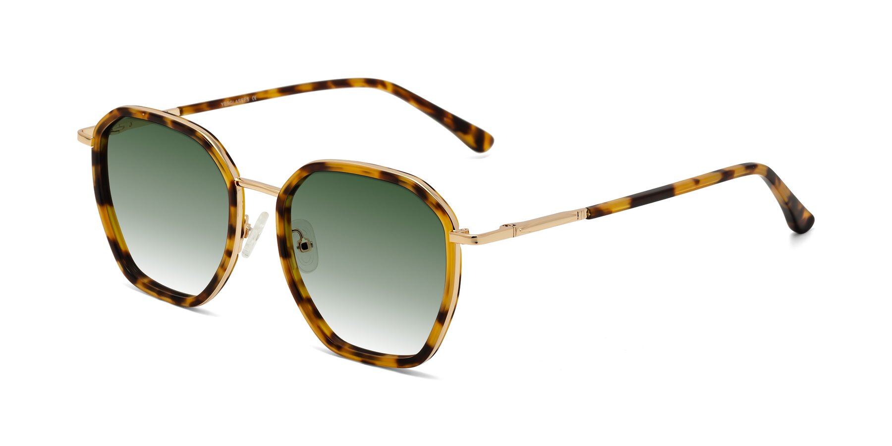 Angle of Fammily in Tortoise-Gold with Green Gradient Lenses