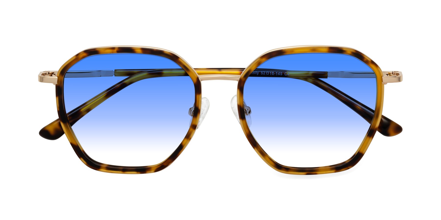 Folded Front of Fammily in Tortoise-Gold with Blue Gradient Lenses