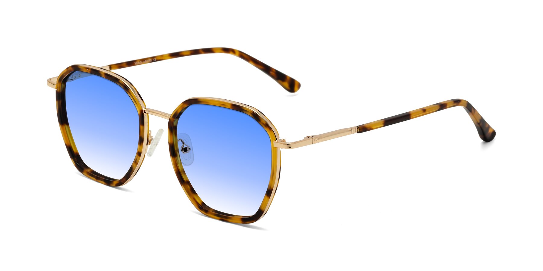 Angle of Fammily in Tortoise-Gold with Blue Gradient Lenses