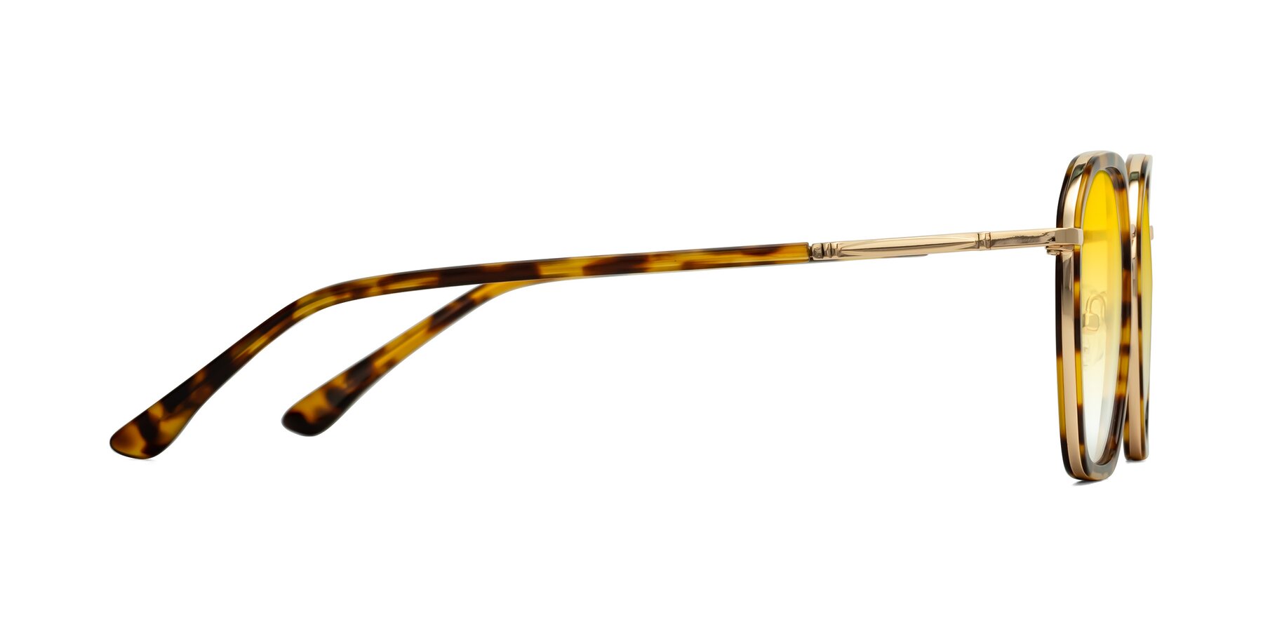 Side of Fammily in Tortoise-Gold with Yellow Gradient Lenses