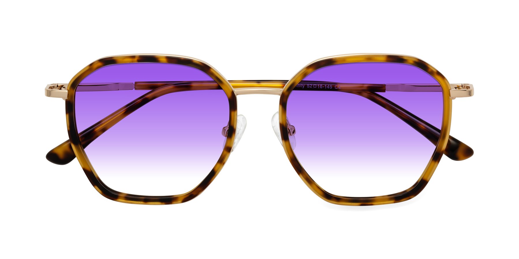 Folded Front of Fammily in Tortoise-Gold with Purple Gradient Lenses