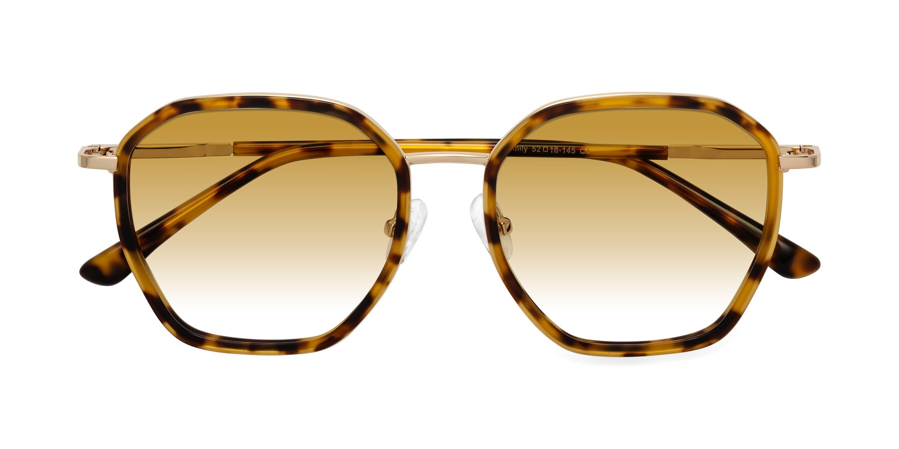 Folded Front of Fammily in Tortoise-Gold with Champagne Gradient Lenses