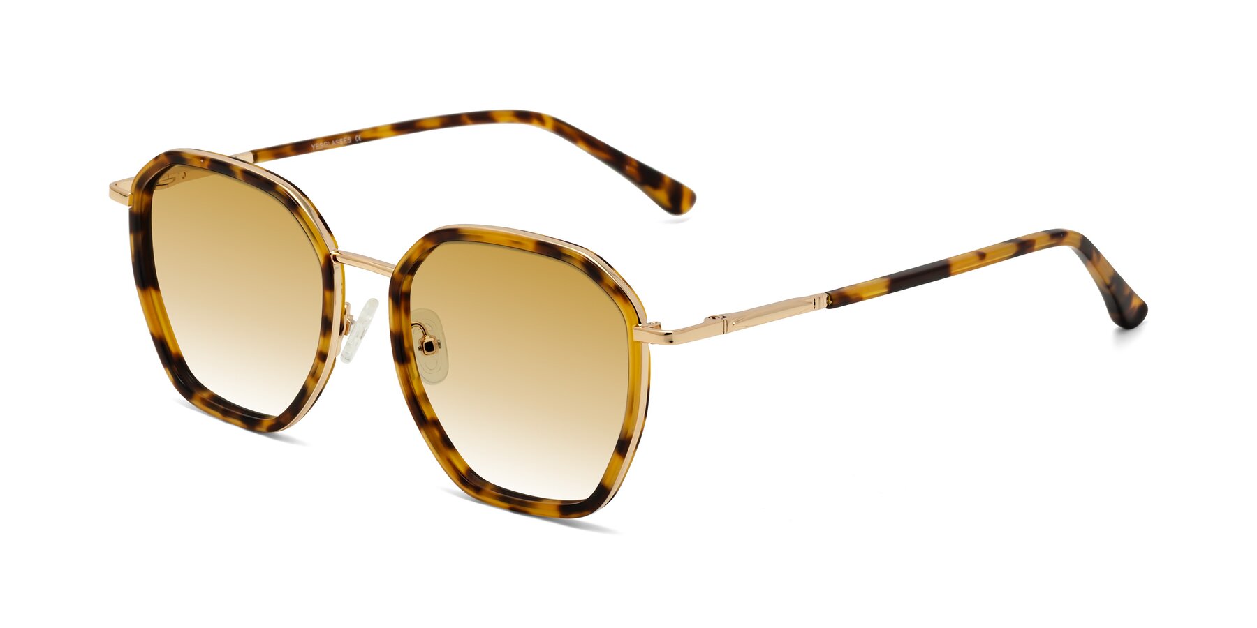 Angle of Fammily in Tortoise-Gold with Champagne Gradient Lenses