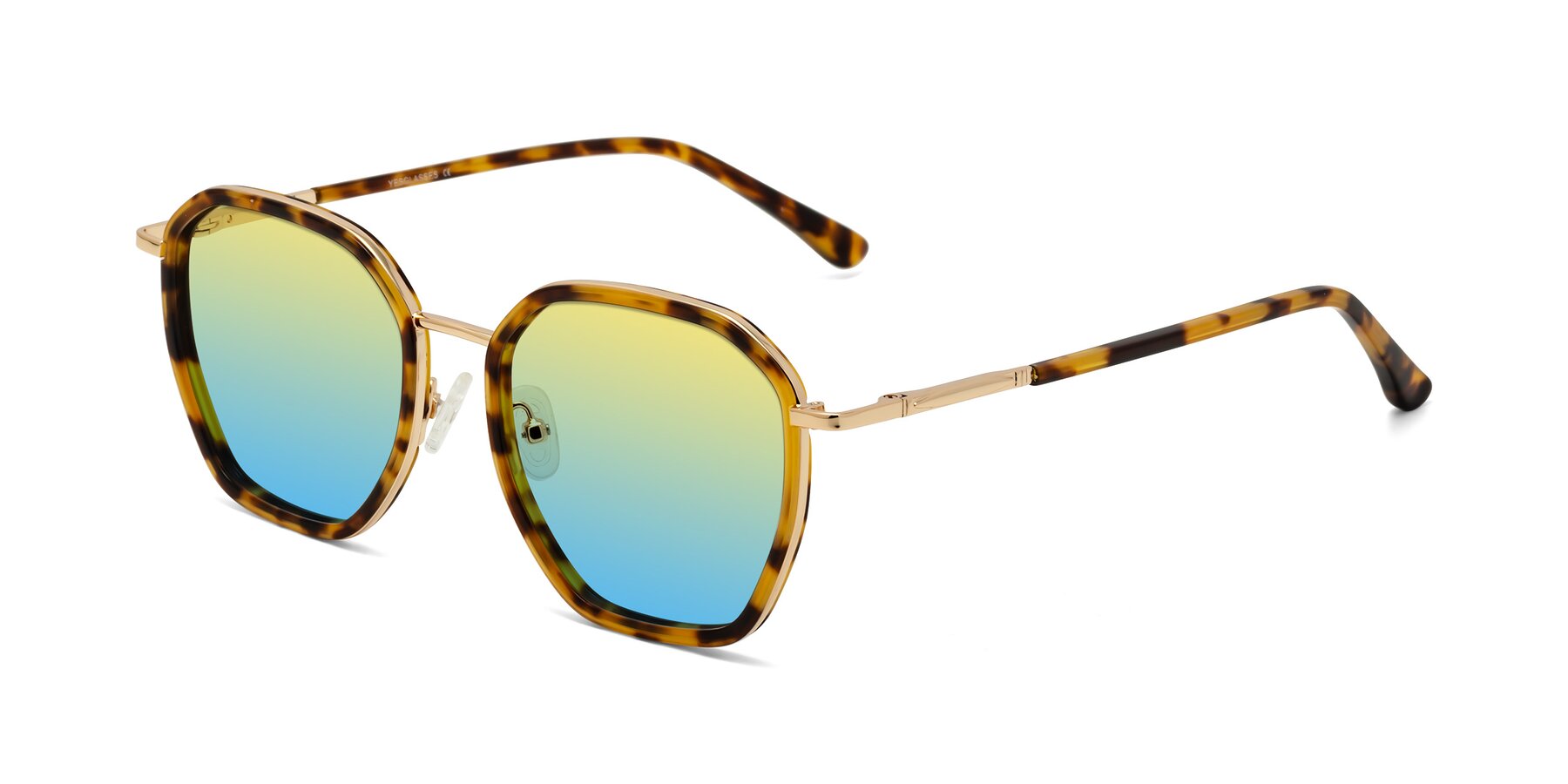 Angle of Fammily in Tortoise-Gold with Yellow / Blue Gradient Lenses