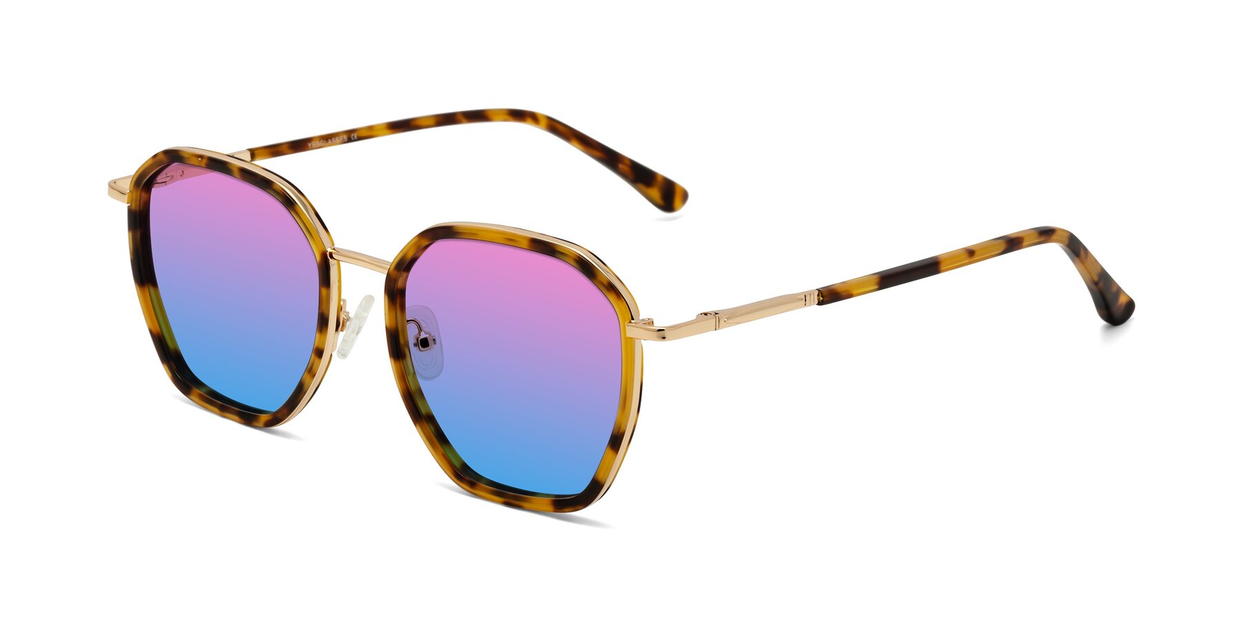 Angle of Fammily in Tortoise-Gold with Pink / Blue Gradient Lenses