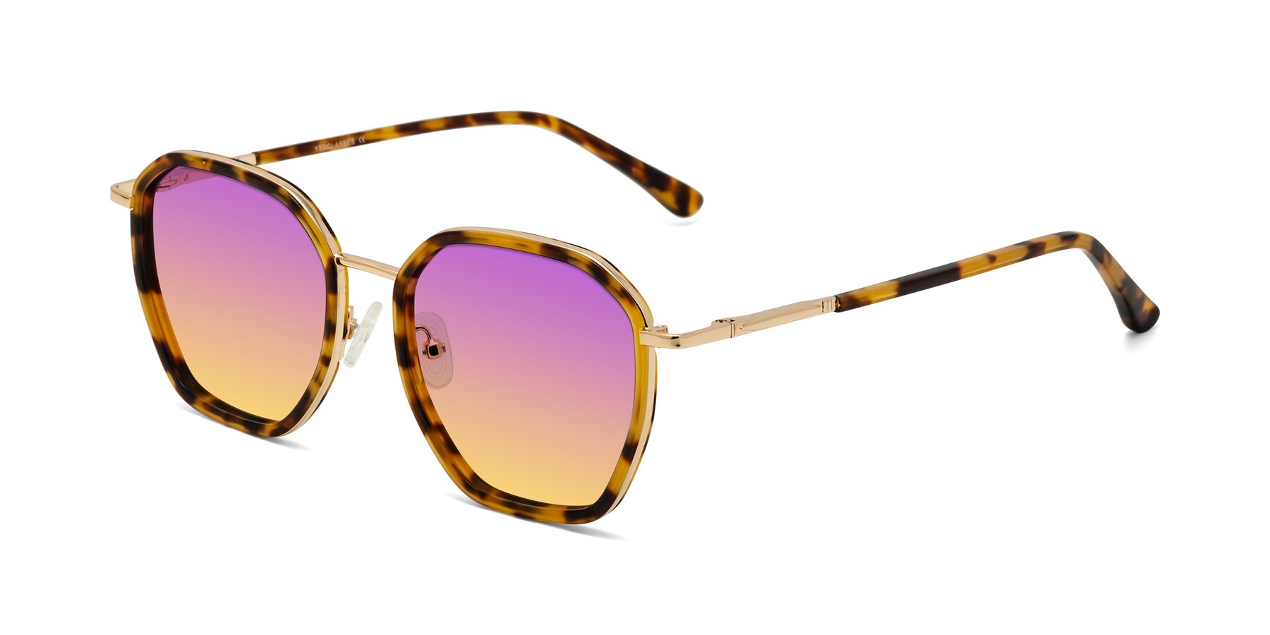 Angle of Fammily in Tortoise-Gold with Purple / Yellow Gradient Lenses