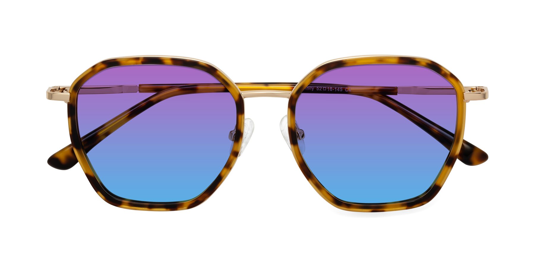 Folded Front of Fammily in Tortoise-Gold with Purple / Blue Gradient Lenses