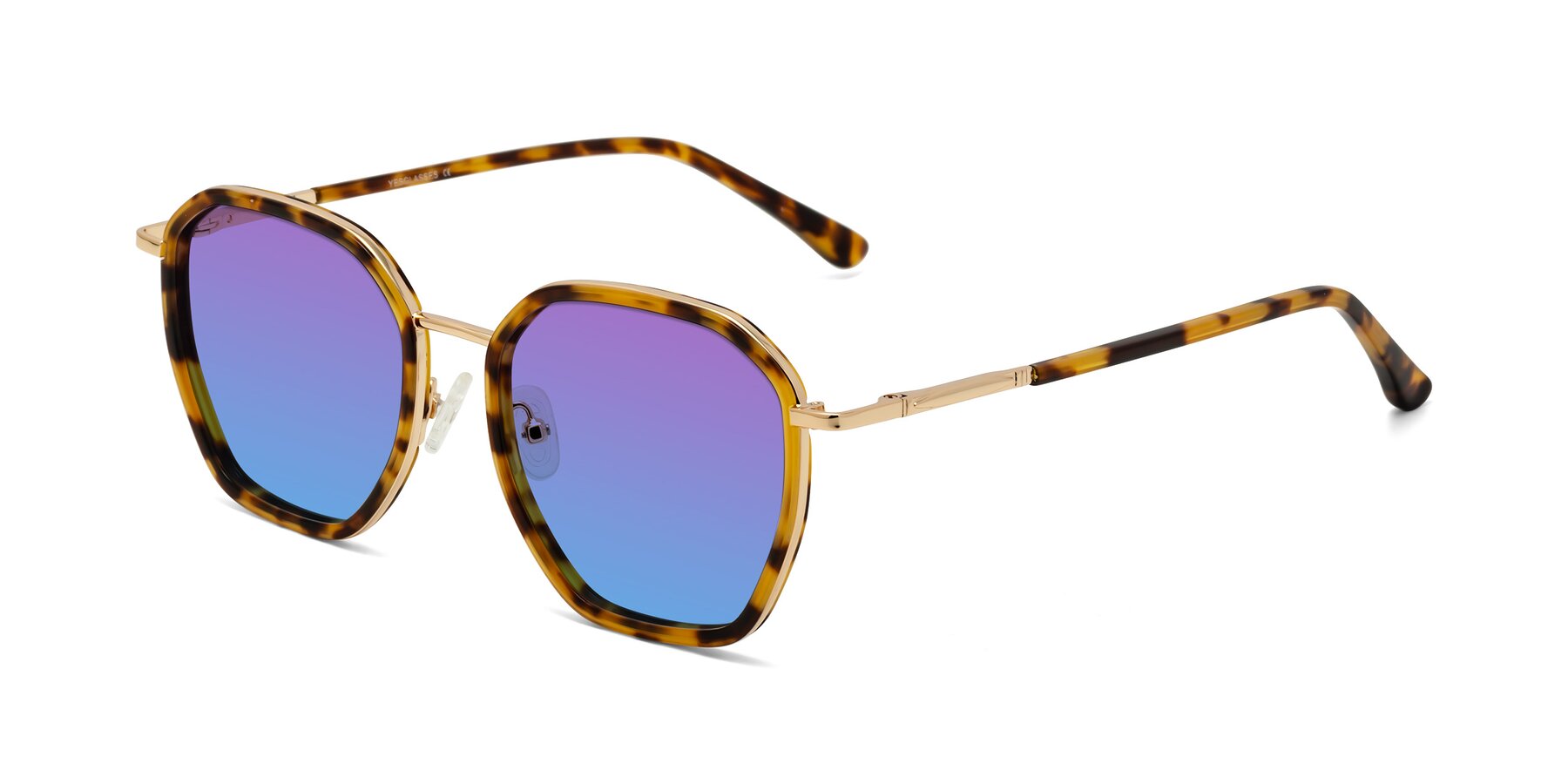 Angle of Fammily in Tortoise-Gold with Purple / Blue Gradient Lenses