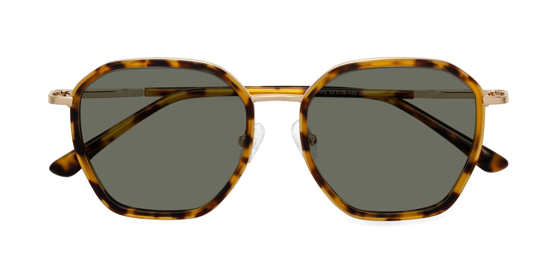 Folded Front of Fammily in Tortoise-Gold with Gray Polarized Lenses