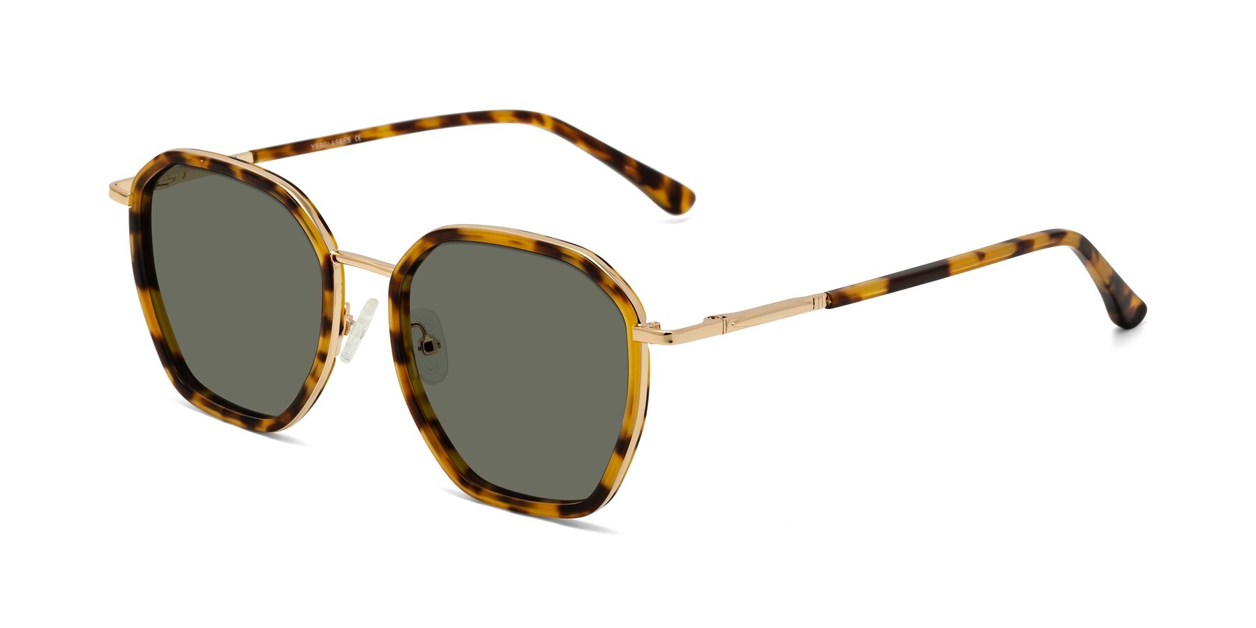 Angle of Fammily in Tortoise-Gold with Gray Polarized Lenses