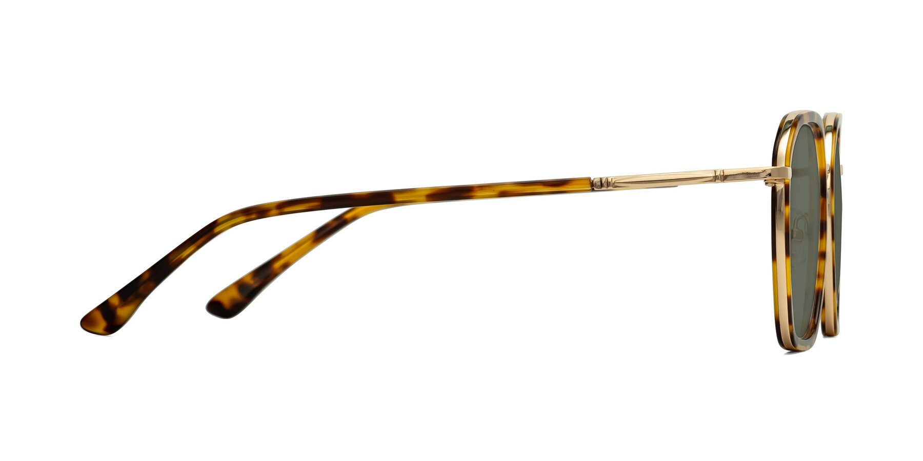 Side of Fammily in Tortoise-Gold with Gray Polarized Lenses