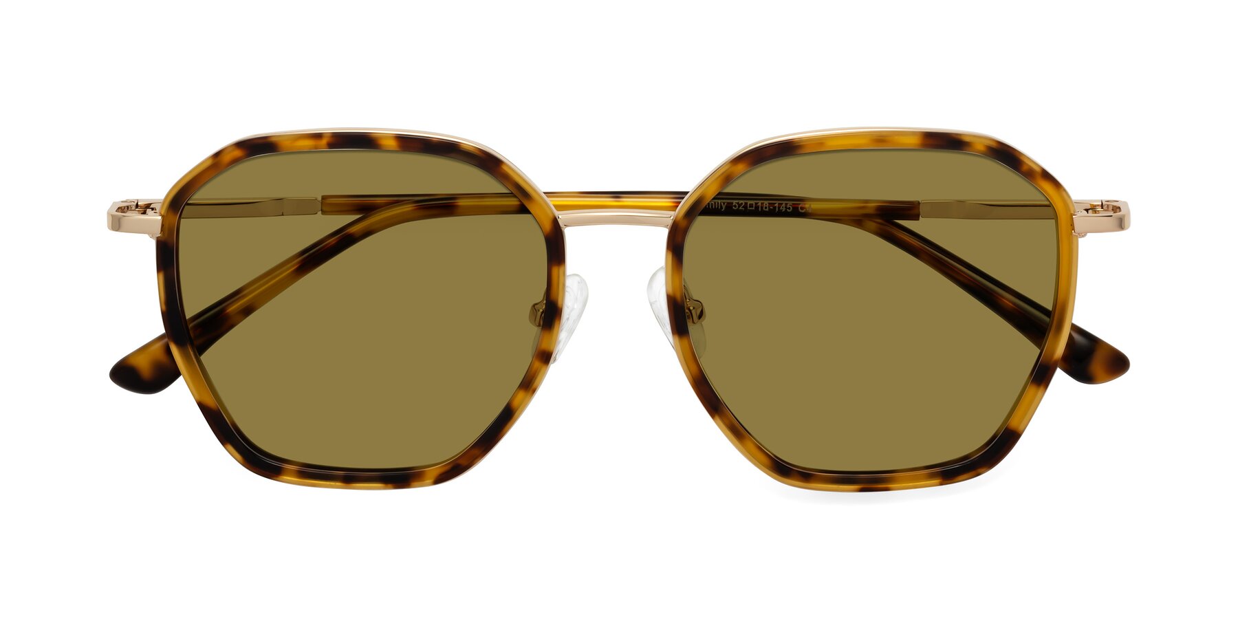 Folded Front of Fammily in Tortoise-Gold with Brown Polarized Lenses