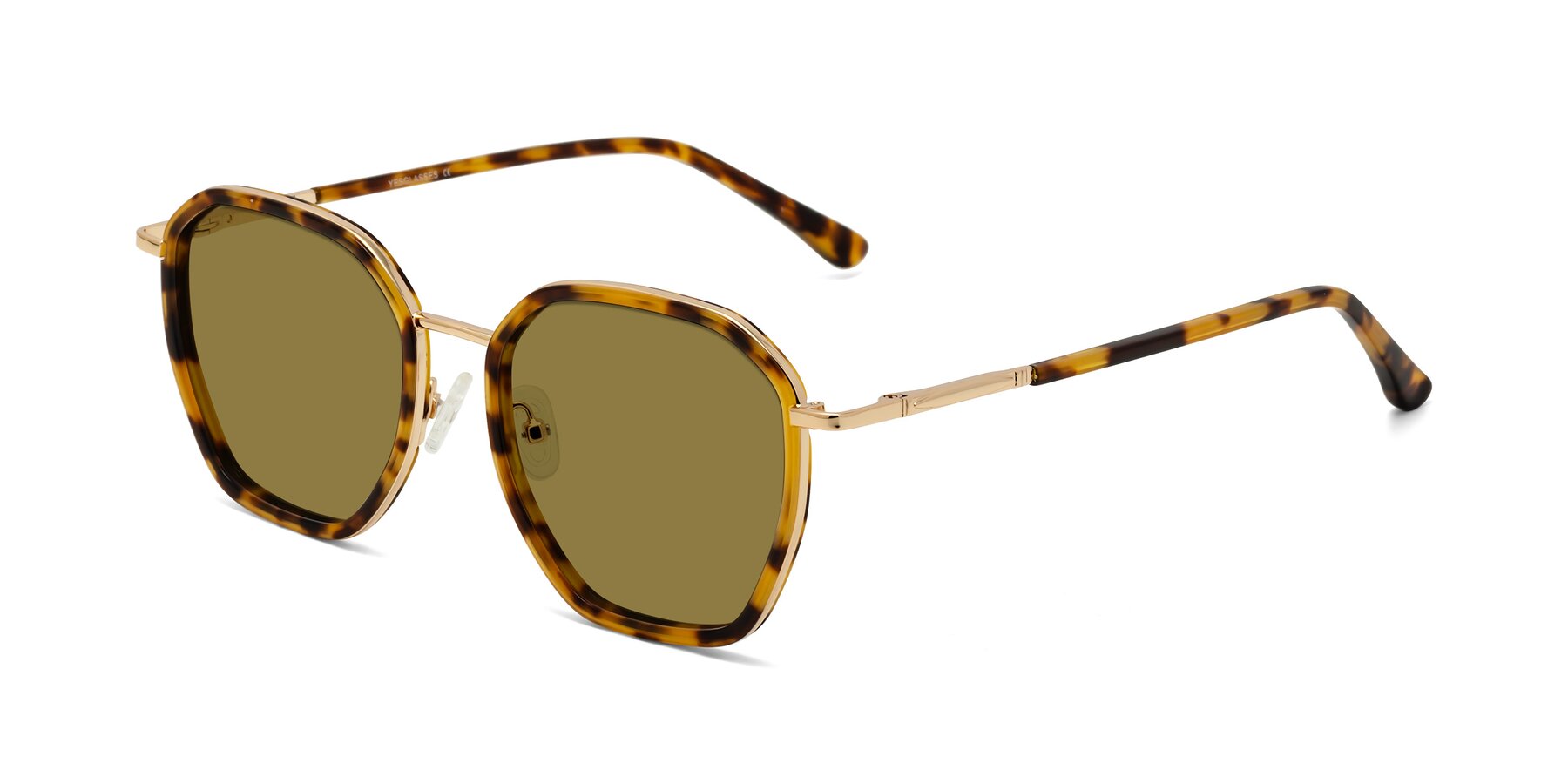 Angle of Fammily in Tortoise-Gold with Brown Polarized Lenses