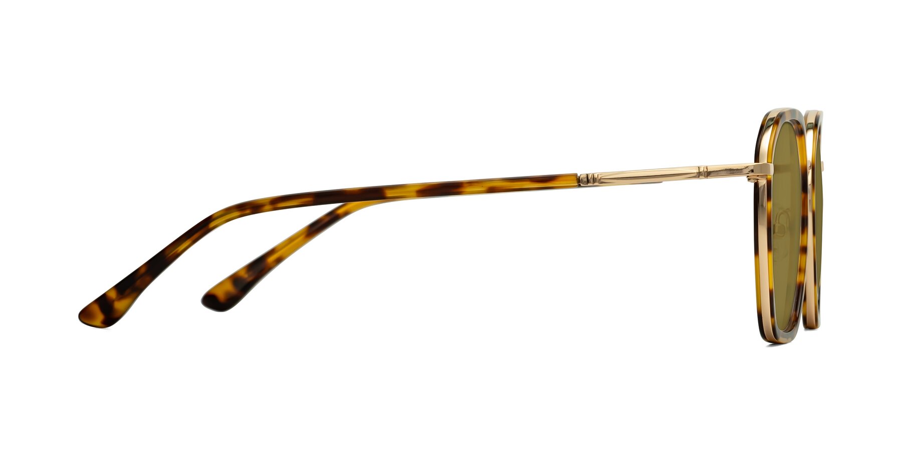 Side of Fammily in Tortoise-Gold with Brown Polarized Lenses