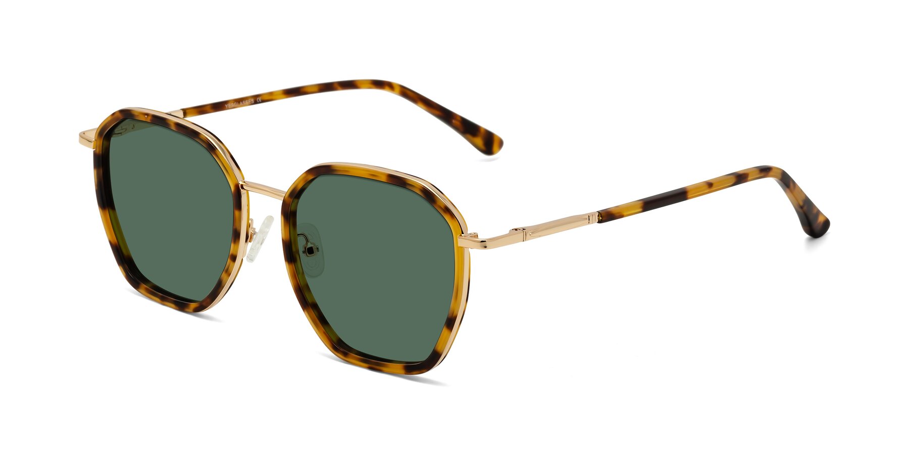 Angle of Fammily in Tortoise-Gold with Green Polarized Lenses