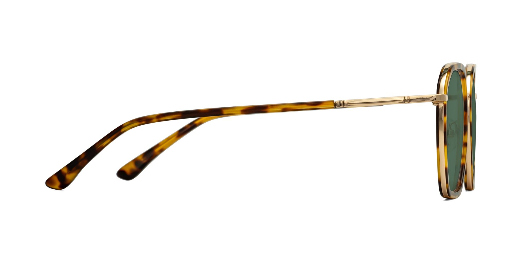 Side of Fammily in Tortoise-Gold with Green Polarized Lenses