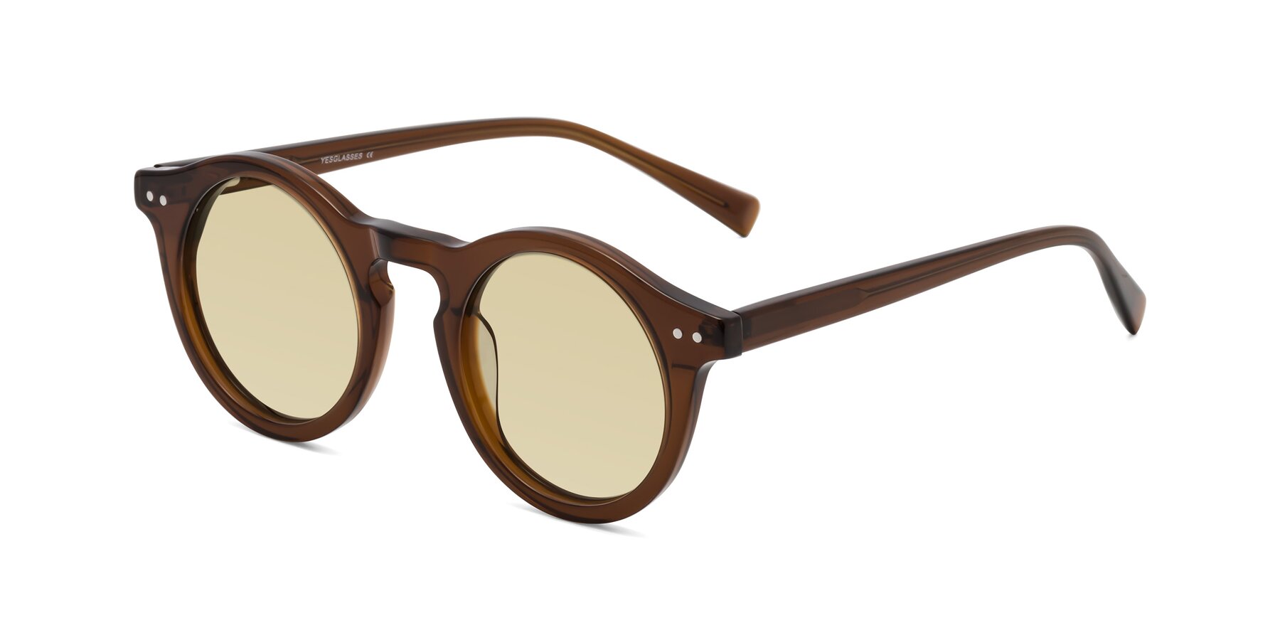 Angle of Baybe in Brown with Light Champagne Tinted Lenses