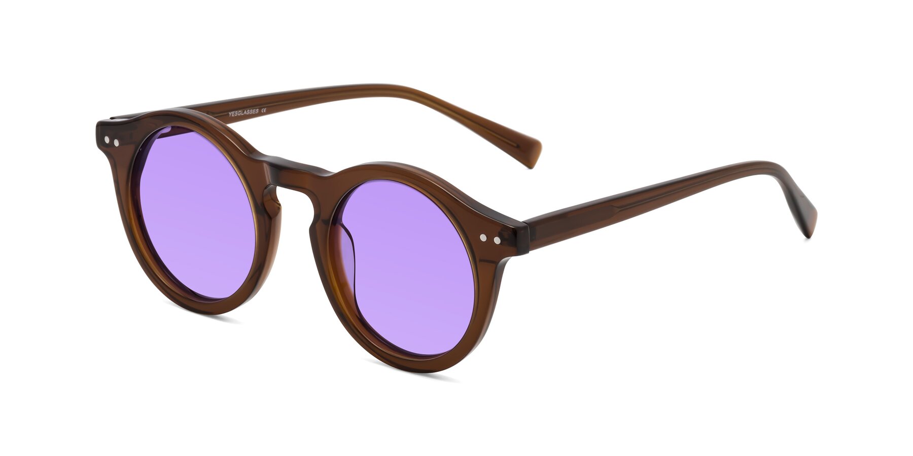 Angle of Baybe in Brown with Medium Purple Tinted Lenses