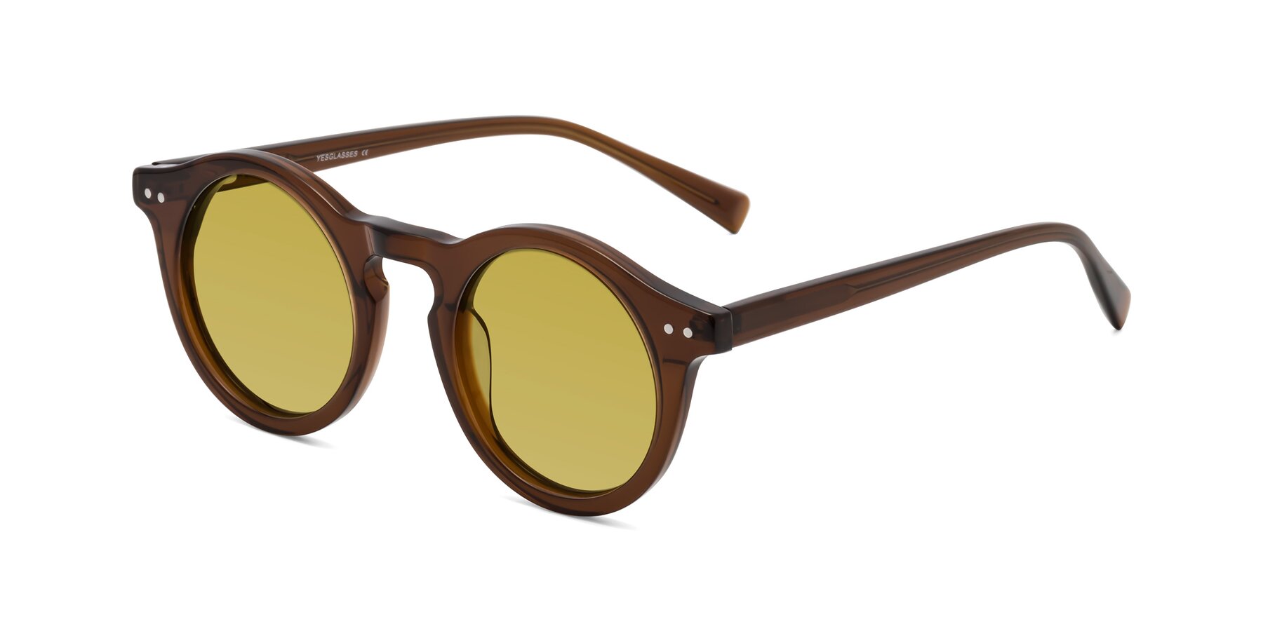 Angle of Baybe in Brown with Champagne Tinted Lenses