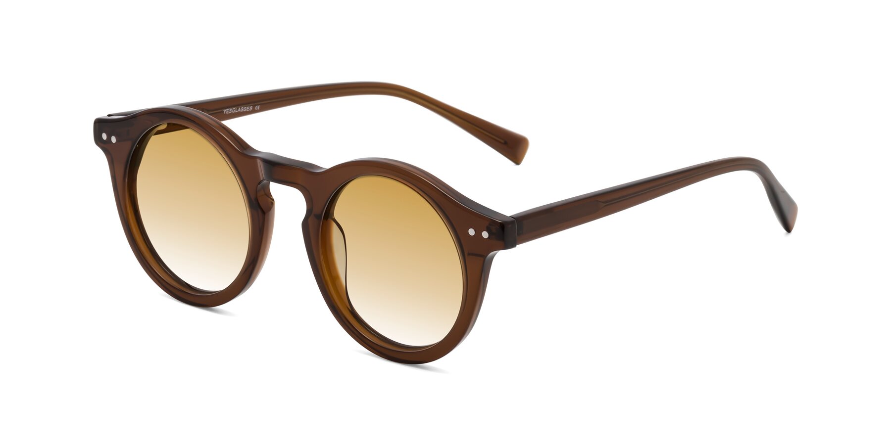 Angle of Baybe in Brown with Champagne Gradient Lenses