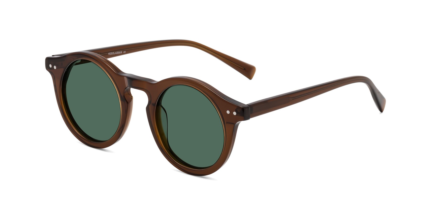 Angle of Baybe in Brown with Green Polarized Lenses