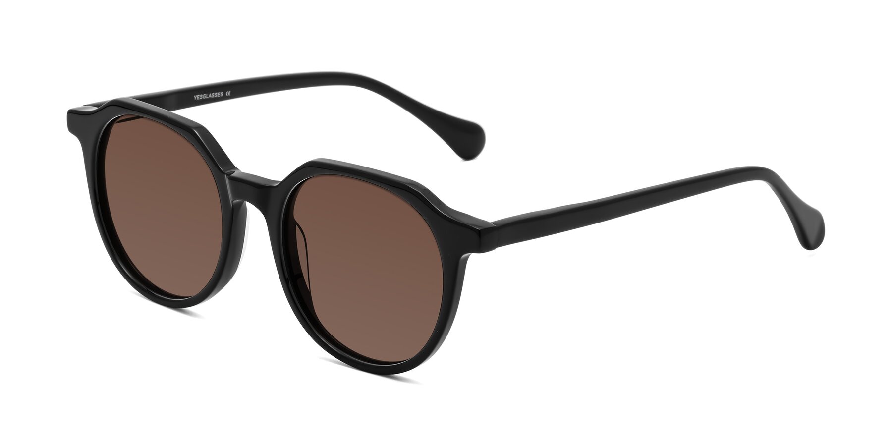 Angle of Payper in Black with Brown Tinted Lenses