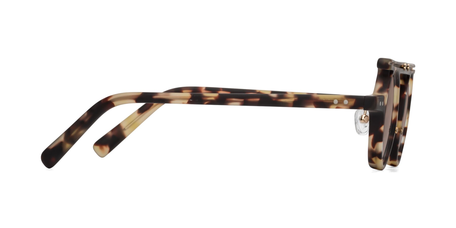 Side of Deer in Sandstorm Tortoise with Medium Brown Tinted Lenses