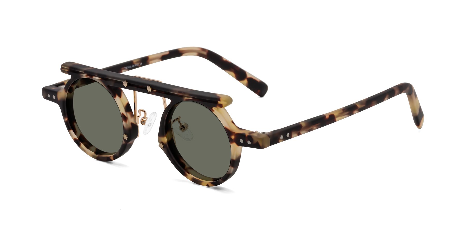 Angle of Deer in Sandstorm Tortoise with Gray Polarized Lenses