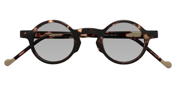 Front of Flag in Tortoise