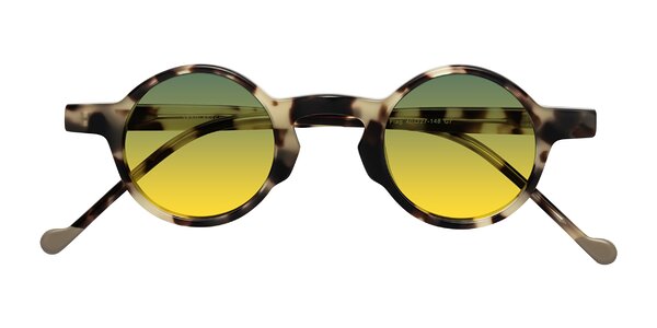 Front of Flag in Ivory Tortoise